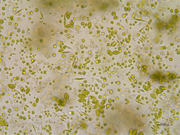 Laboratory